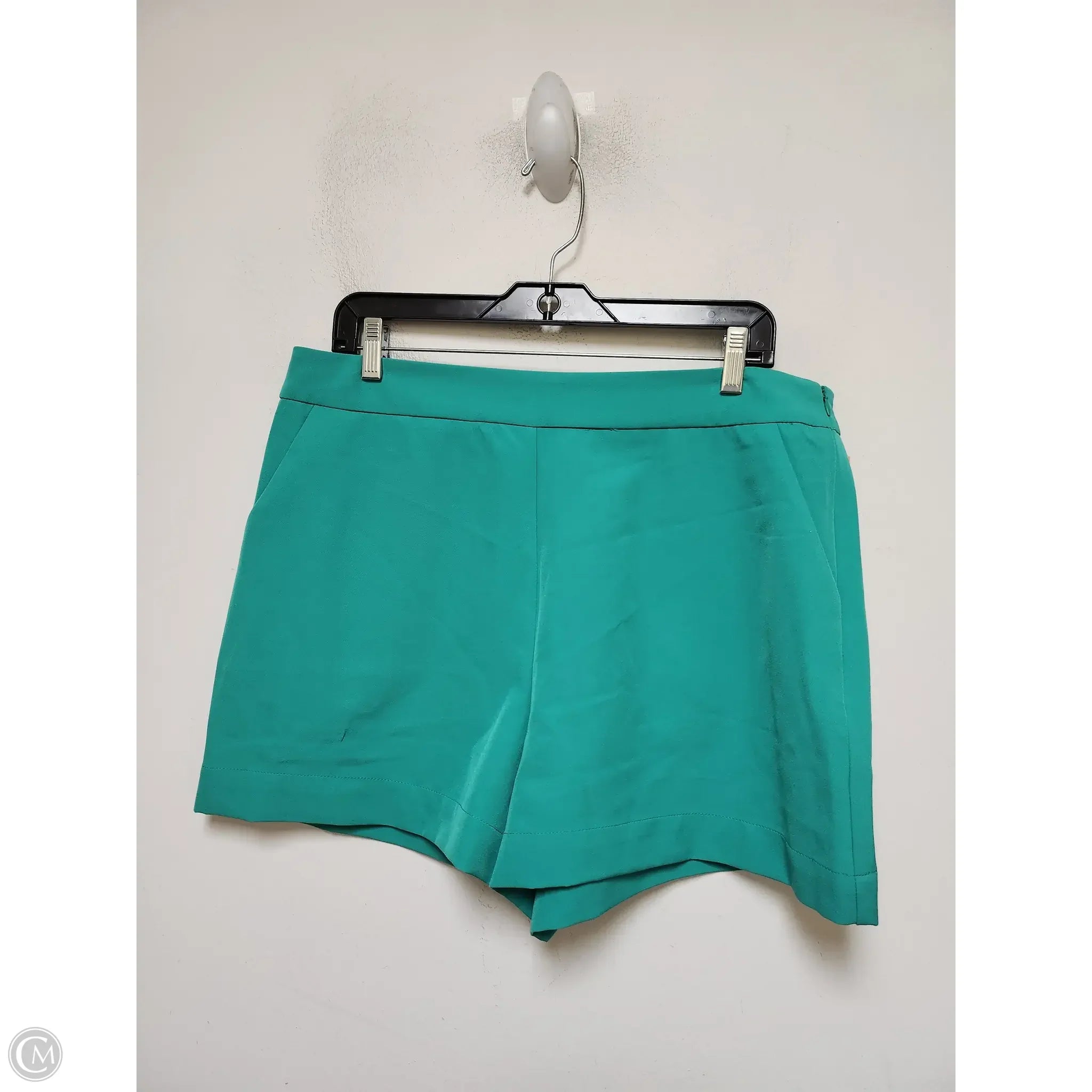Men's Pants with Appliqué DetailsShorts By Versona In Green, Size: 16